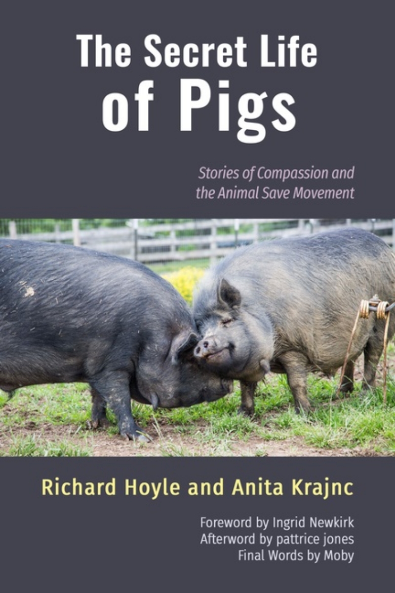 Picture of Secret Life Of Pigs
