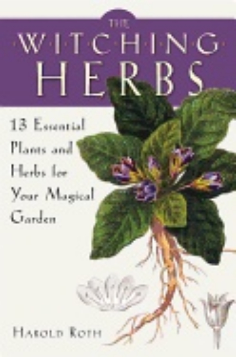 Picture of Witching herbs - 13 essential plants and herbs for your magical garden