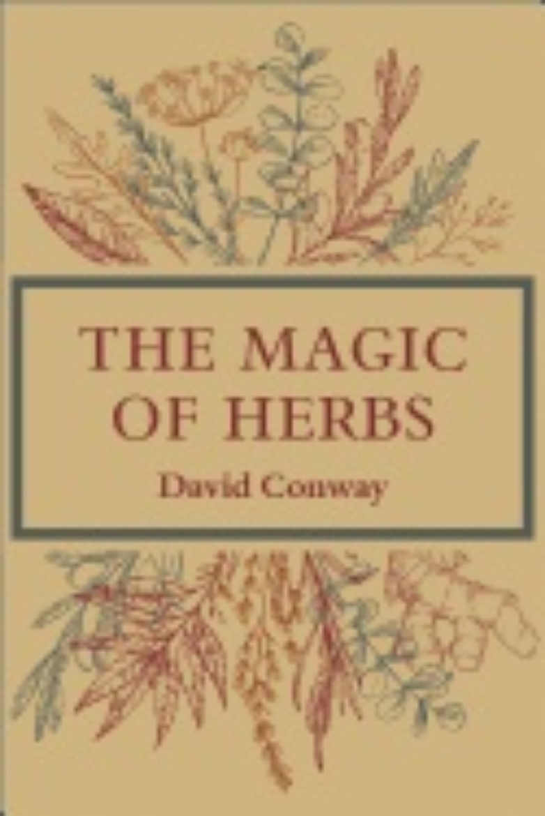 Picture of MAGIC OF HERBS