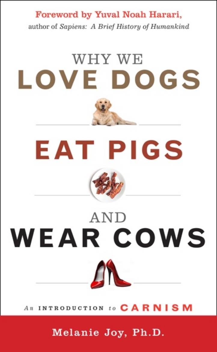 Picture of Why We Love Dogs, Eat Pigs And Wear Cows