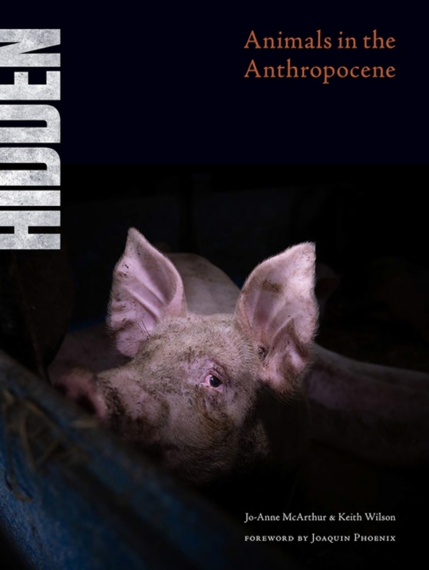 Picture of Hidden : Animals in the Anthropocene