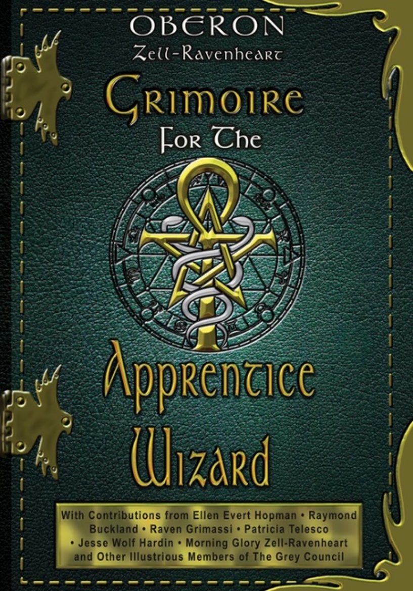 Picture of Grimoire for the apprentice wizard