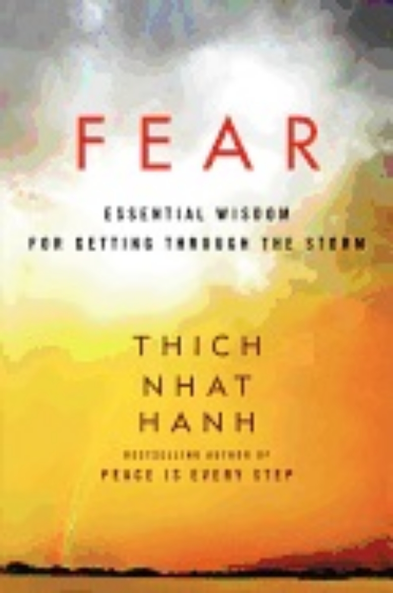 Picture of FEAR: Essential Wisdom For Getting Through The Storm (q)