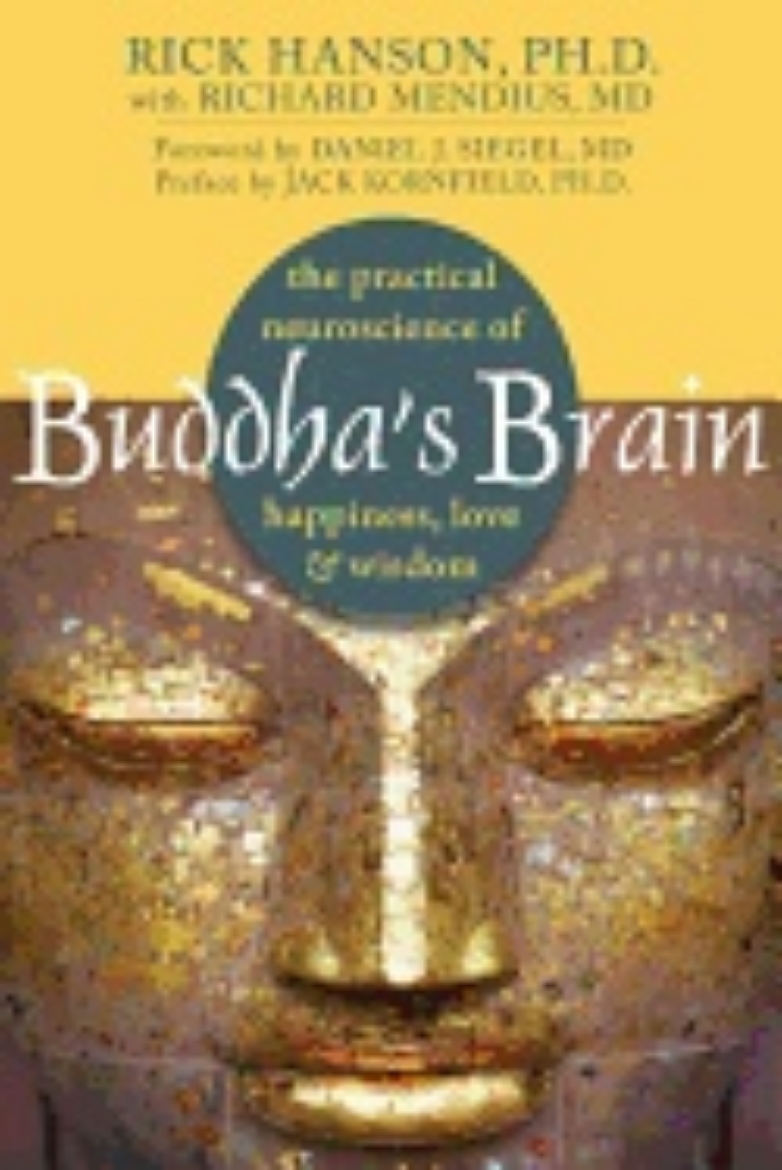 Picture of Buddhas brain - the practical neuroscience of happiness, love, and wisdom