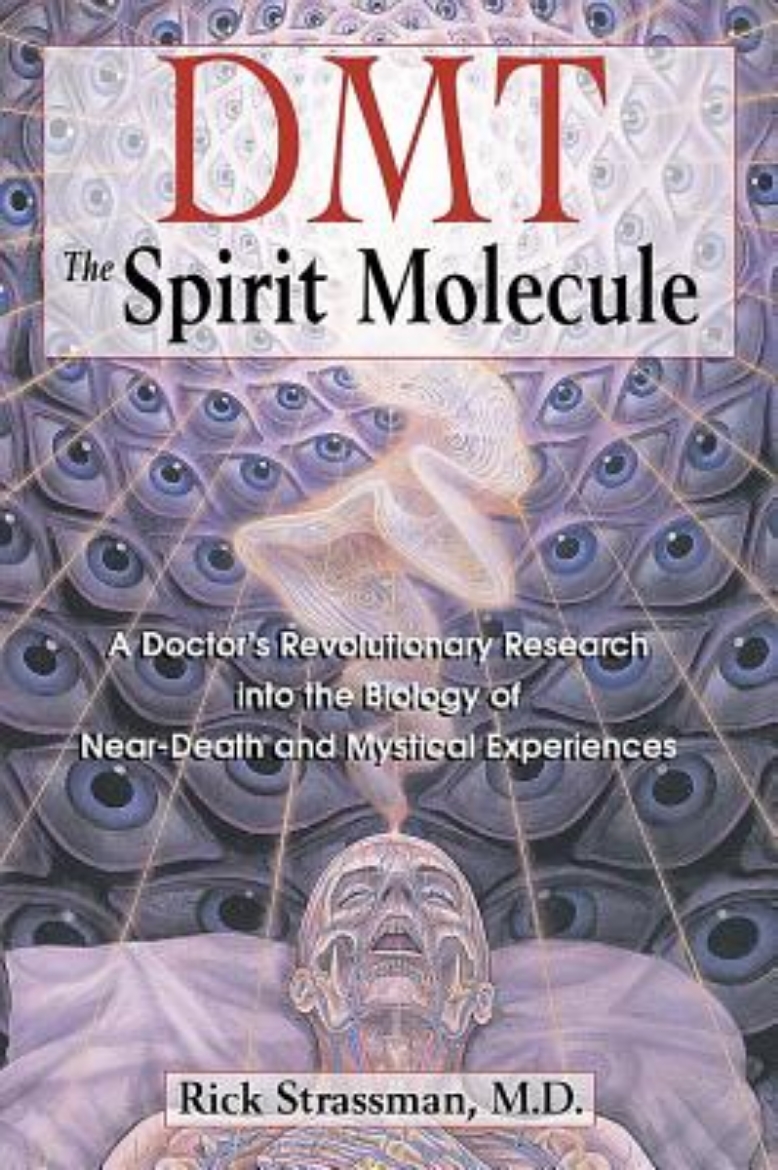 Picture of Dmt : the spririt molecule - a doctors revolutionary research into the biol