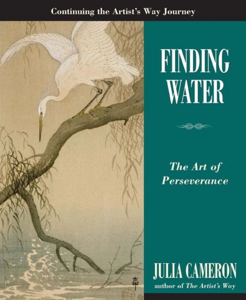 Picture of Finding Water: The Art Of Perseverence (Q)