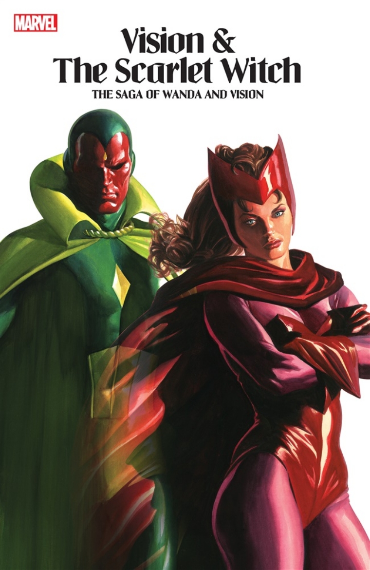 Picture of VISION & THE SCARLET WITCH: THE SAGA OF WANDA AND VISION