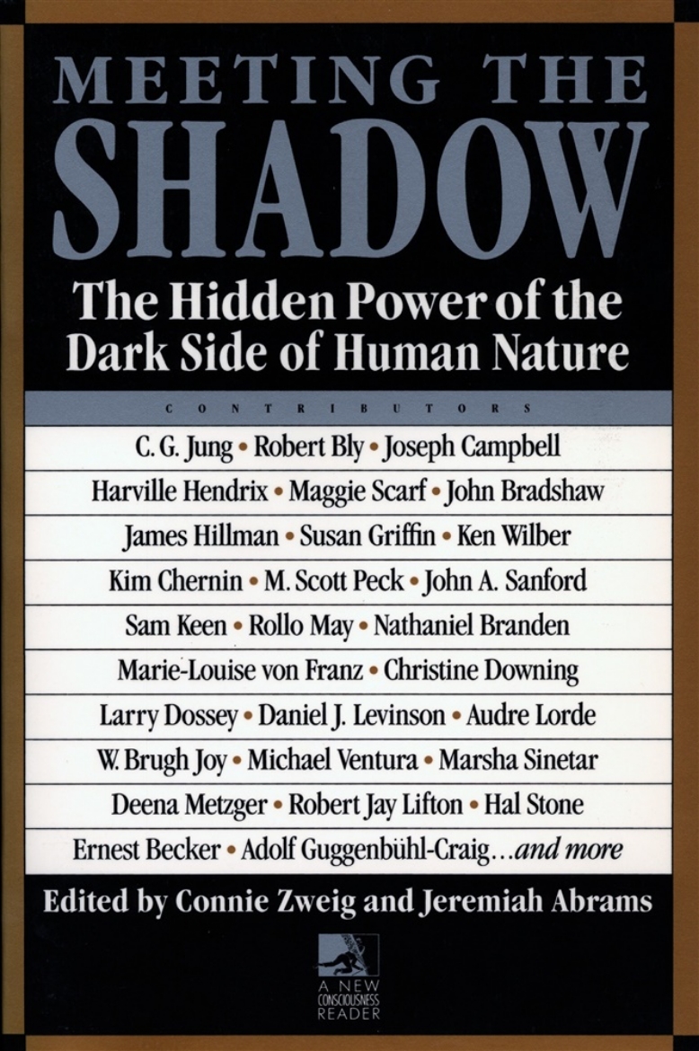 Picture of Meeting the shadow - the hidden power of the dark side of human nature