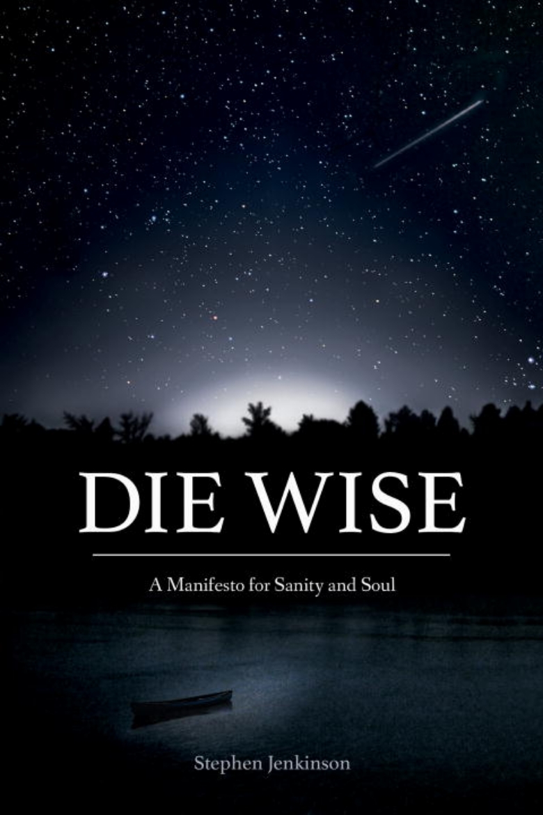 Picture of Die wise