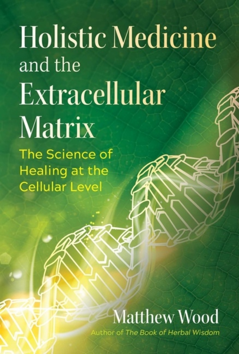 Picture of Holistic Medicine And The Extracellular Matrix