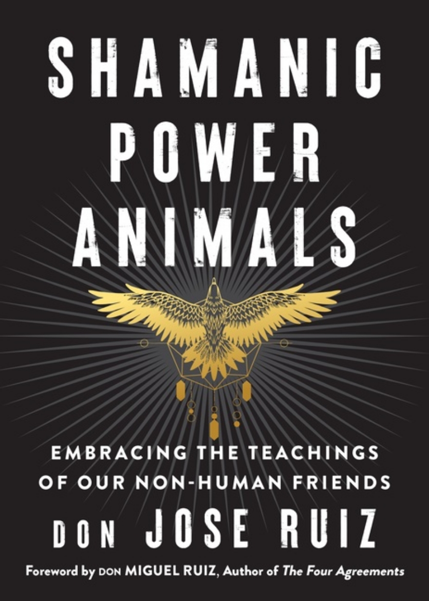 Picture of Shamanic Power Animals