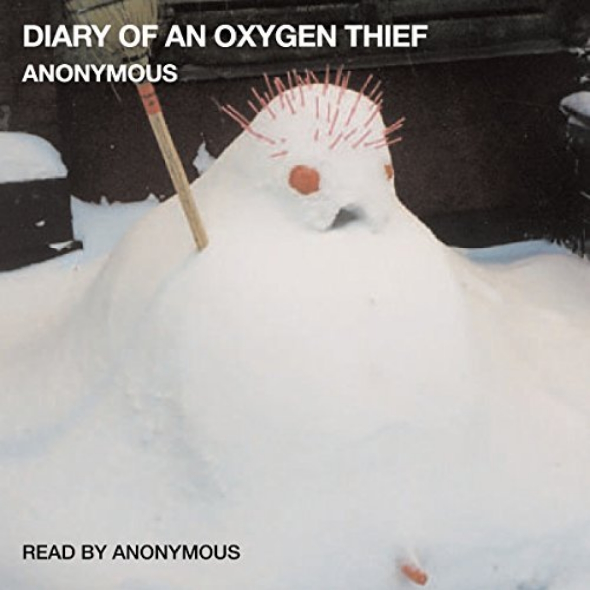 Picture of Diary of an oxygen thief