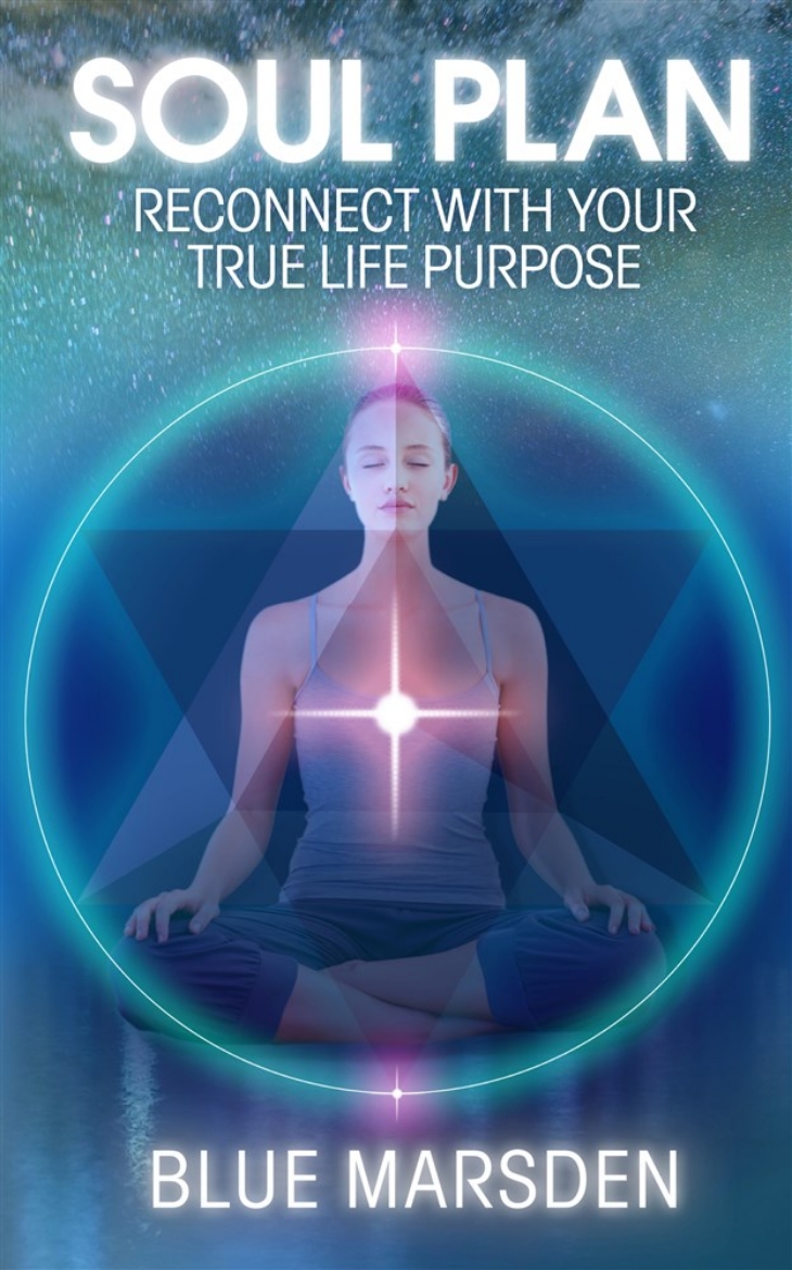 Picture of Soul plan - reconnect with your true life purpose