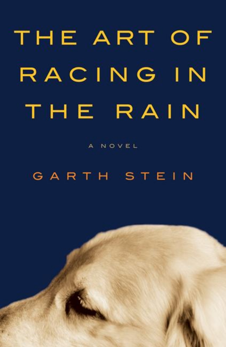 Picture of Art of Racing in the Rain Intl, The