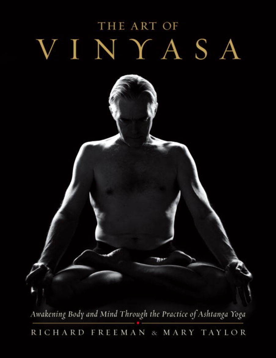 Picture of Art of vinyasa