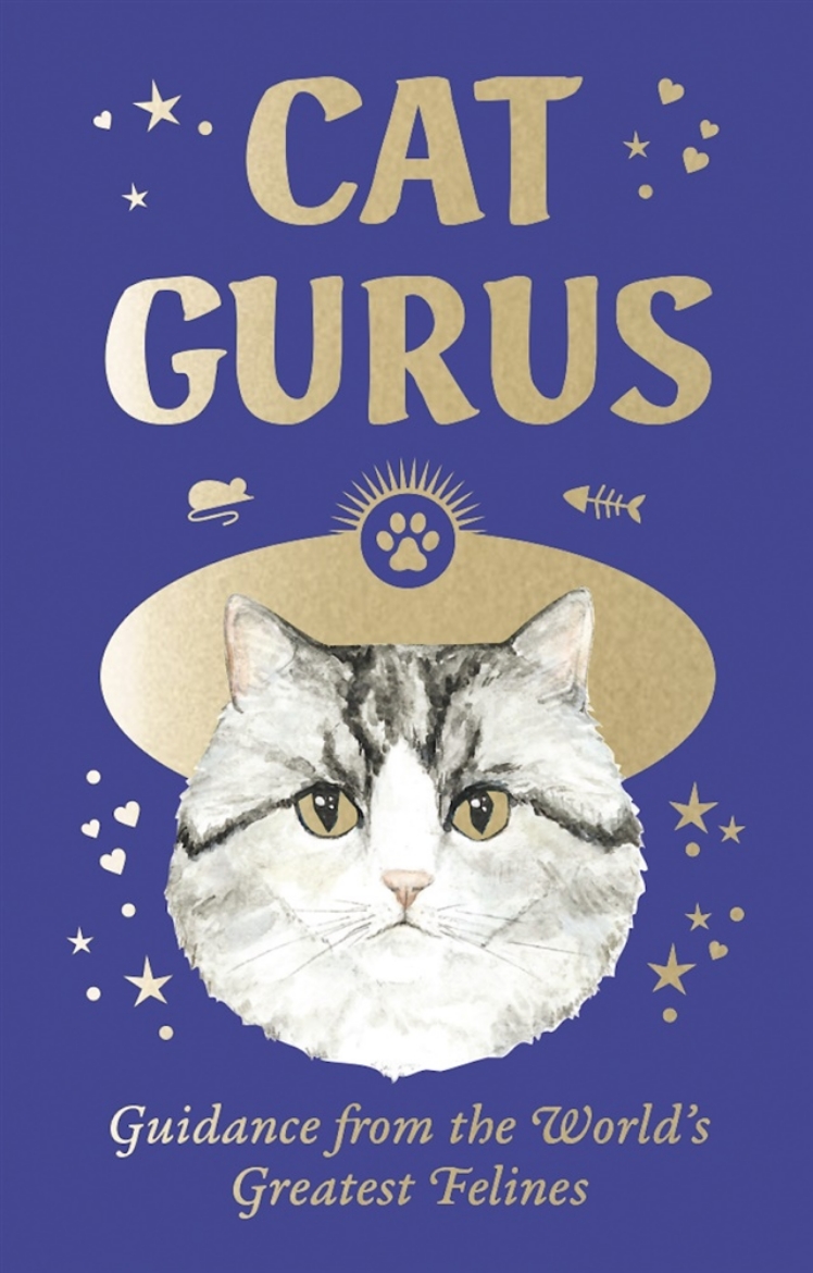 Picture of Cat Gurus: Mini