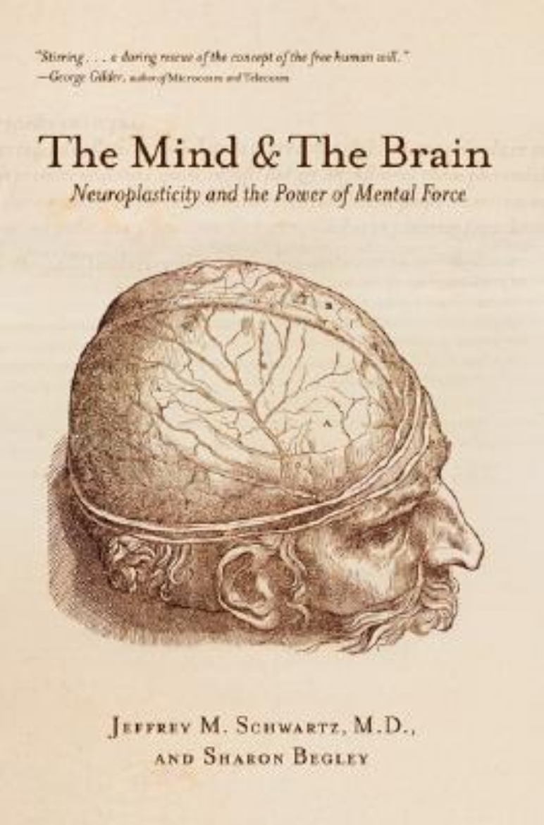 Picture of Mind and the brain - neuroplasticity and the power of mental force