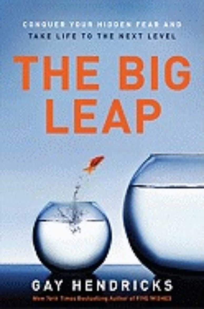 Picture of Big leap - conquer your hidden fear and take life to the next level