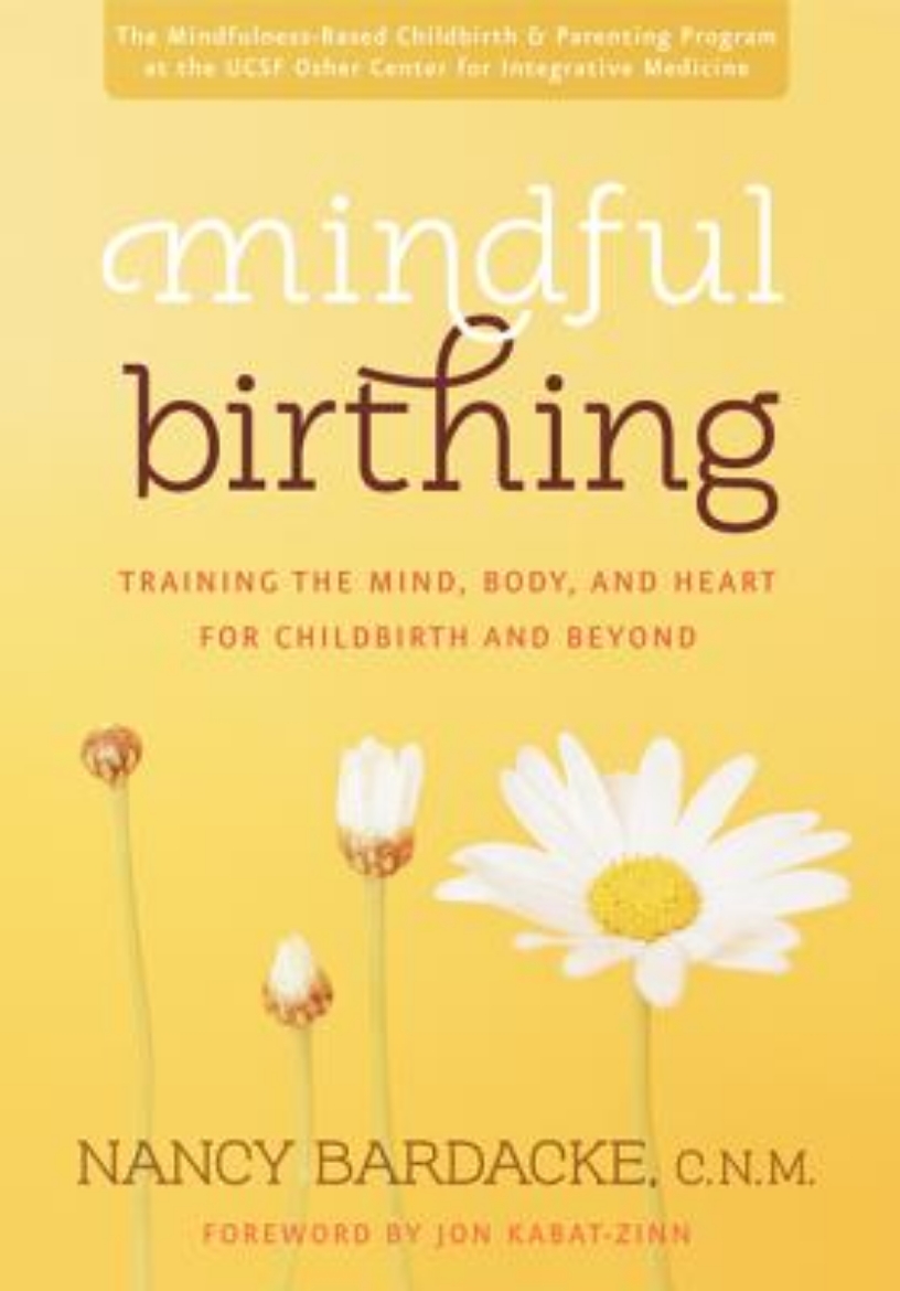 Picture of Mindful birthing