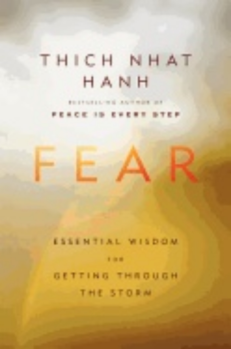 Picture of Fear: Essential Wisdom for Getting Through the Storm