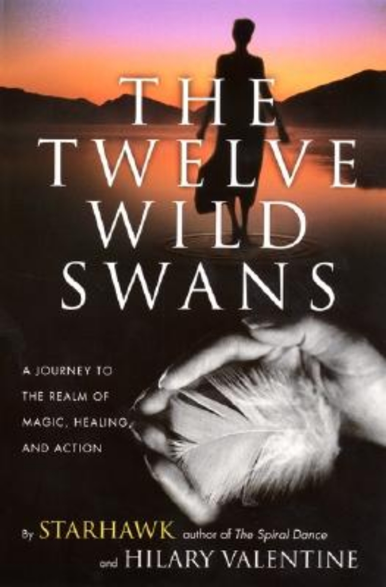 Picture of Twelve Wild Swans, The