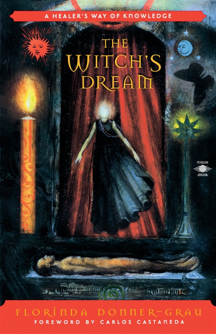 Picture of Witch's Dream: A Healer's Way Of Knowledge (Foreword By Carl