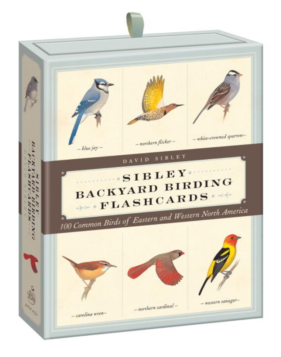 Picture of Sibley Backyard Birding Flashcards