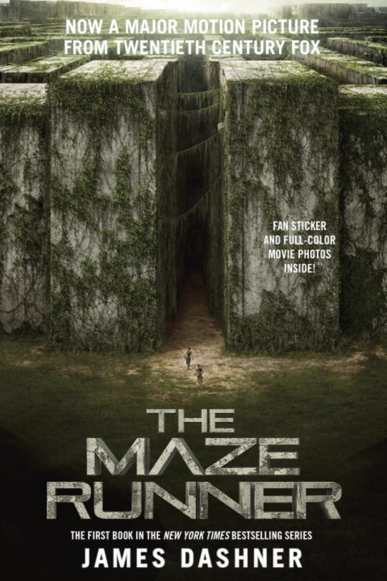 Picture of The Maze Runner FTI