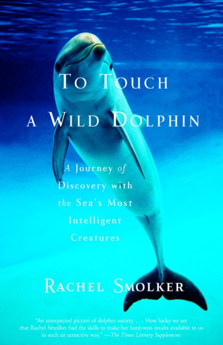 Picture of To Touch a Wild Dolphin