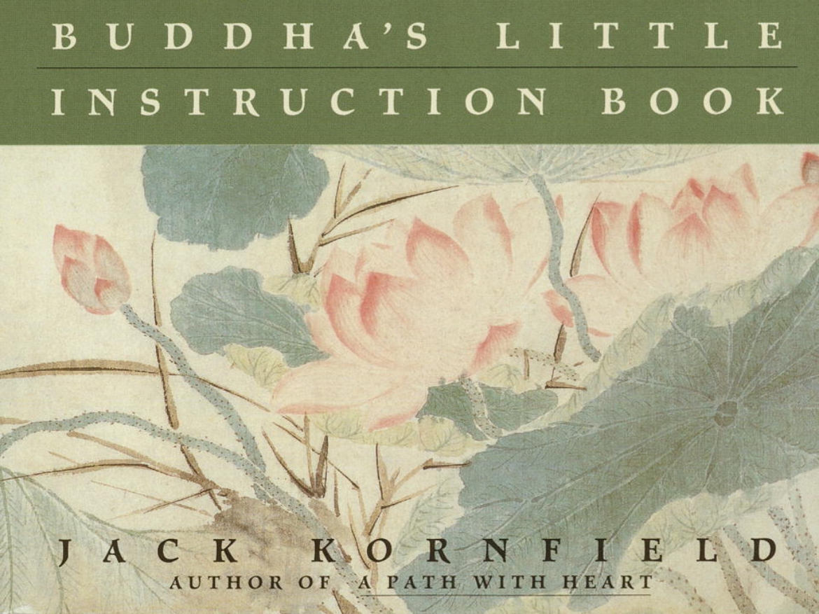 Picture of Buddha's Little Instruction Book