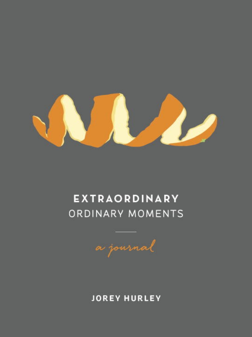 Picture of Extraordinary Ordinary Moments