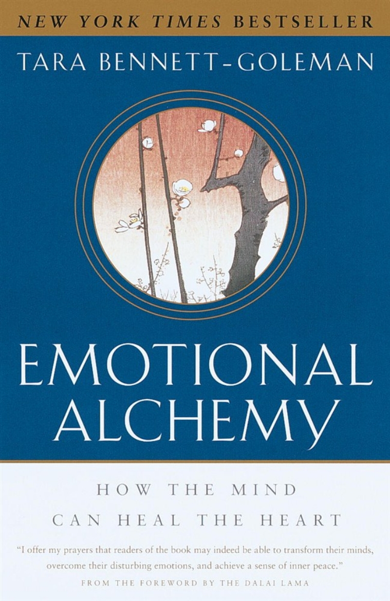 Picture of Emotional Alchemy