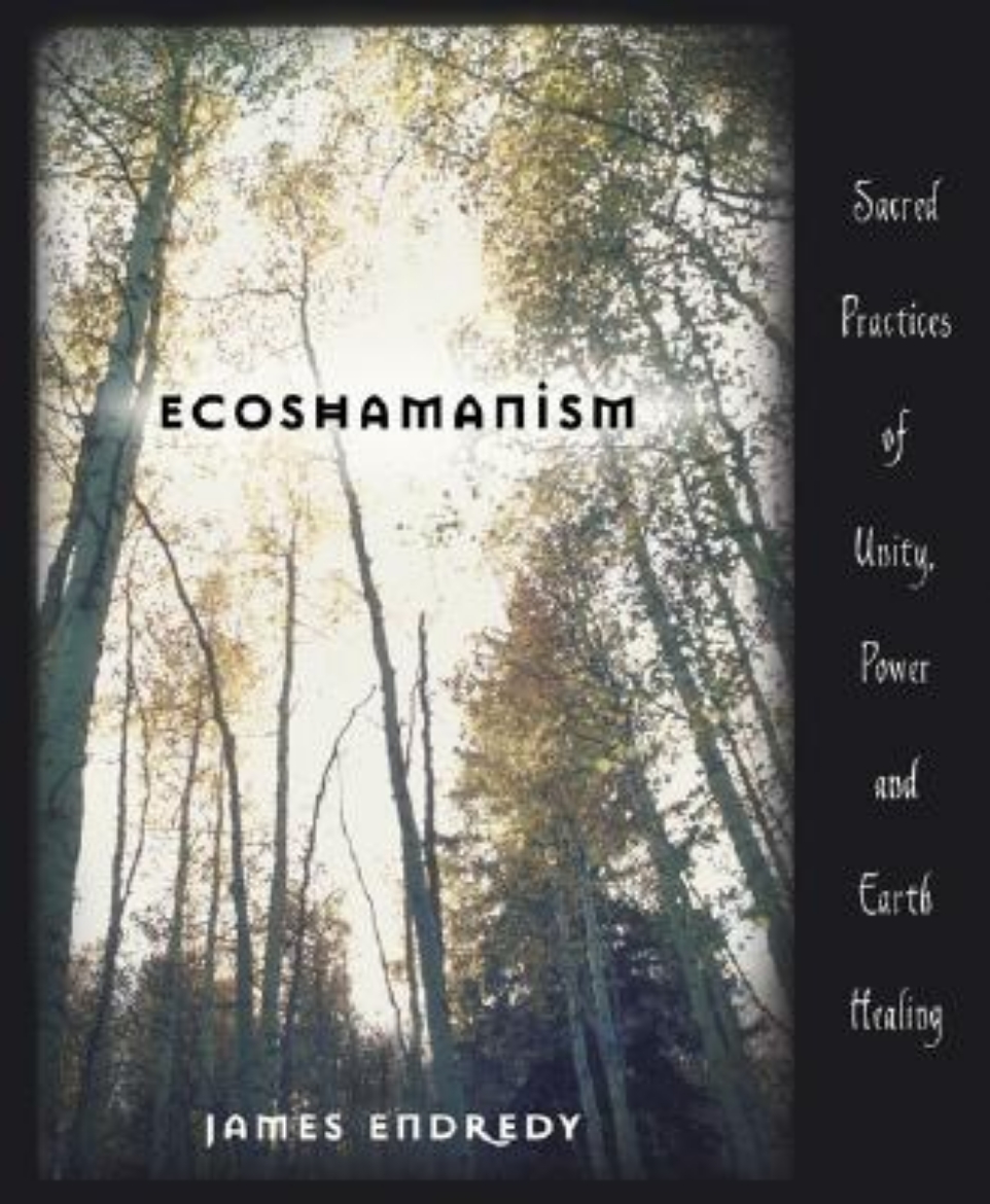 Picture of Ecoshamanism: Sacred Practices of Unity, Power & Earth Healing