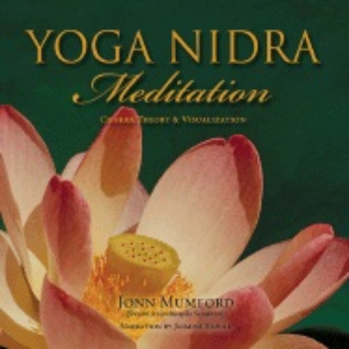 Picture of Yoga Nidra Meditation: Chakra Theory & Visualization