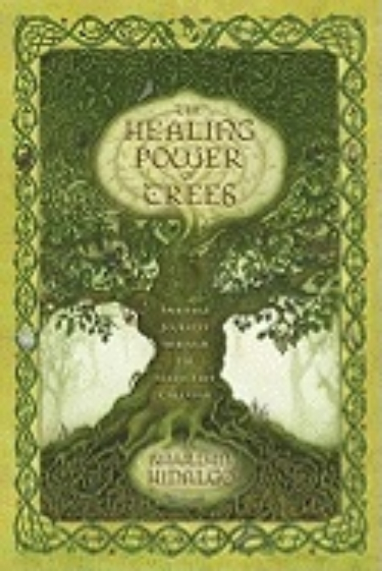 Picture of Healing power of trees - spiritual journeys through the celtic tree calenda