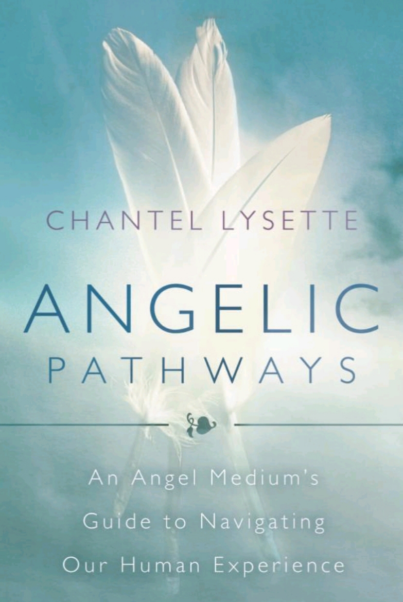 Picture of Angelic Pathways : An Angel Medium's Guide To Navigating Our Human Experience