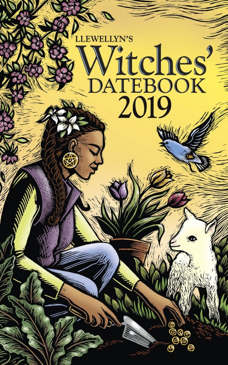 Picture of Llewellyns 2019 witches datebook