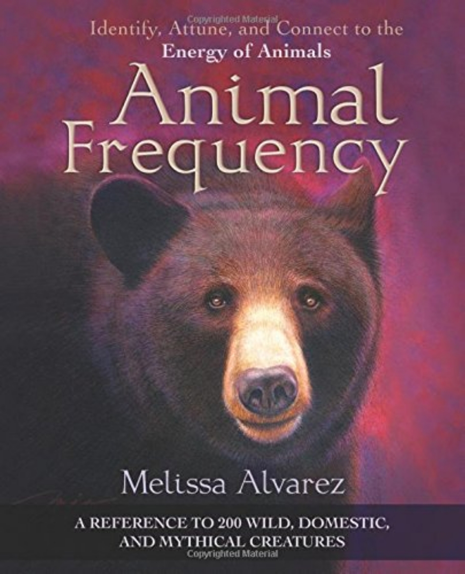 Picture of Animal Frequency