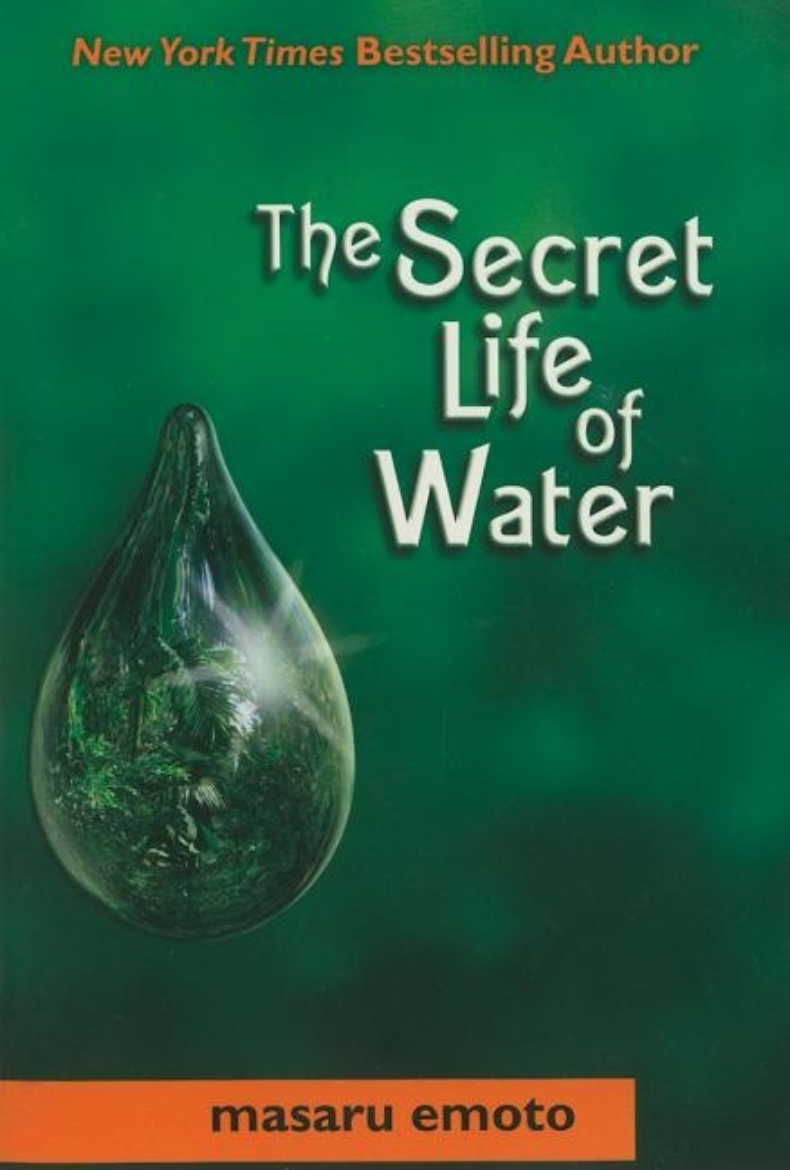 Picture of Secret Life Of Water (Q)