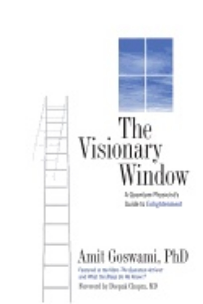 Picture of Visionary Window : A Quantum Physicist's Guide to Enlightenment