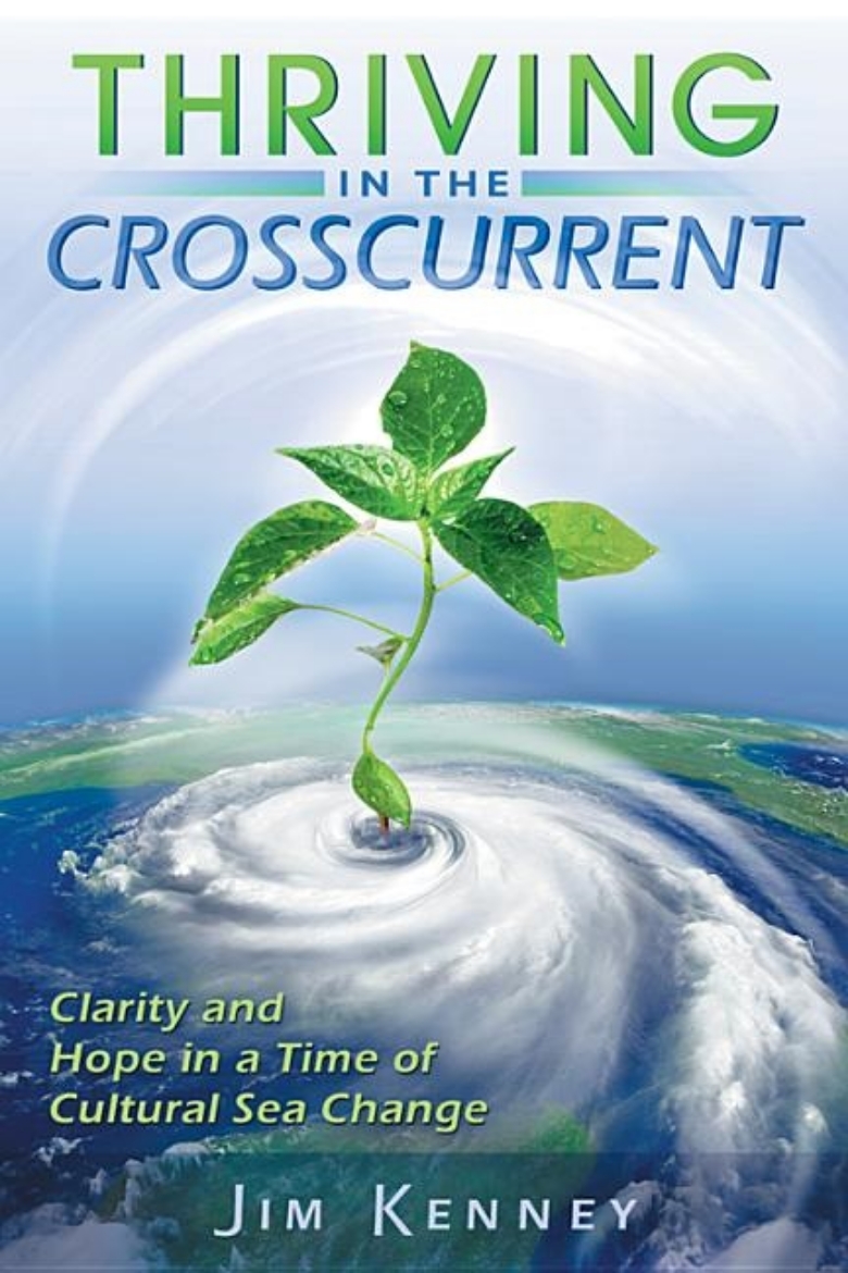 Picture of Thriving In The Crosscurrent: Clarity & Hope In A Time Of Cultural Sea Change