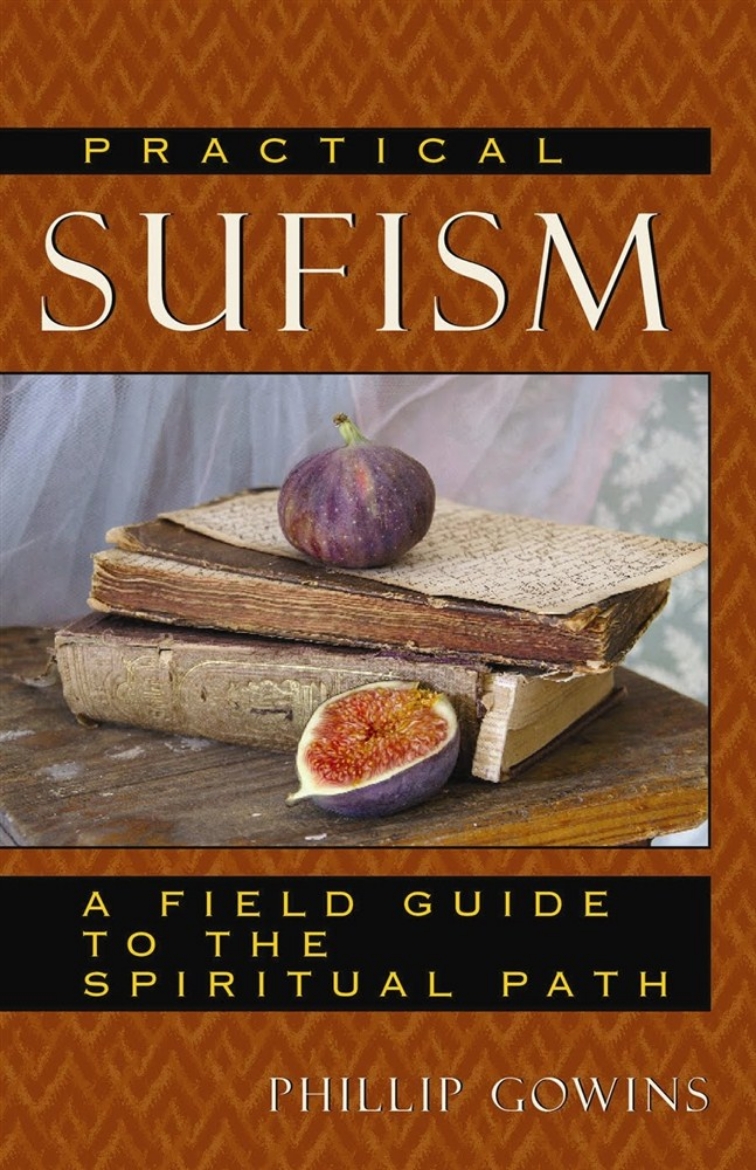 Picture of Practical Sufism : A Field Guide To The Spiritual Path