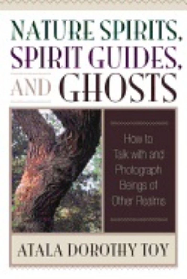 Picture of Nature Spirits, Spirit Guides, And Ghosts : How to Talk with and Photograph Beings of Other Realms