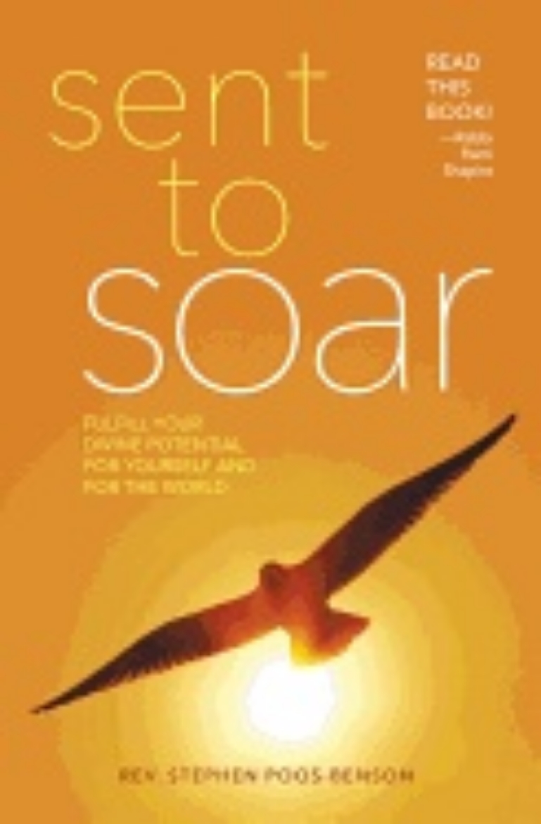 Picture of Sent To Soar : Fulfilling Your Divine Potential for Yourself and for the World