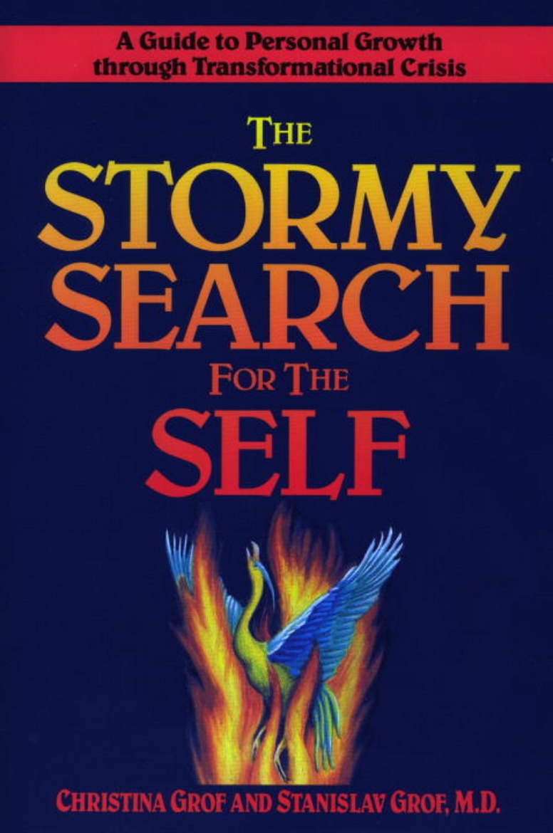 Picture of Stormy Search For The Self: A Guide To Personal Growth Throu