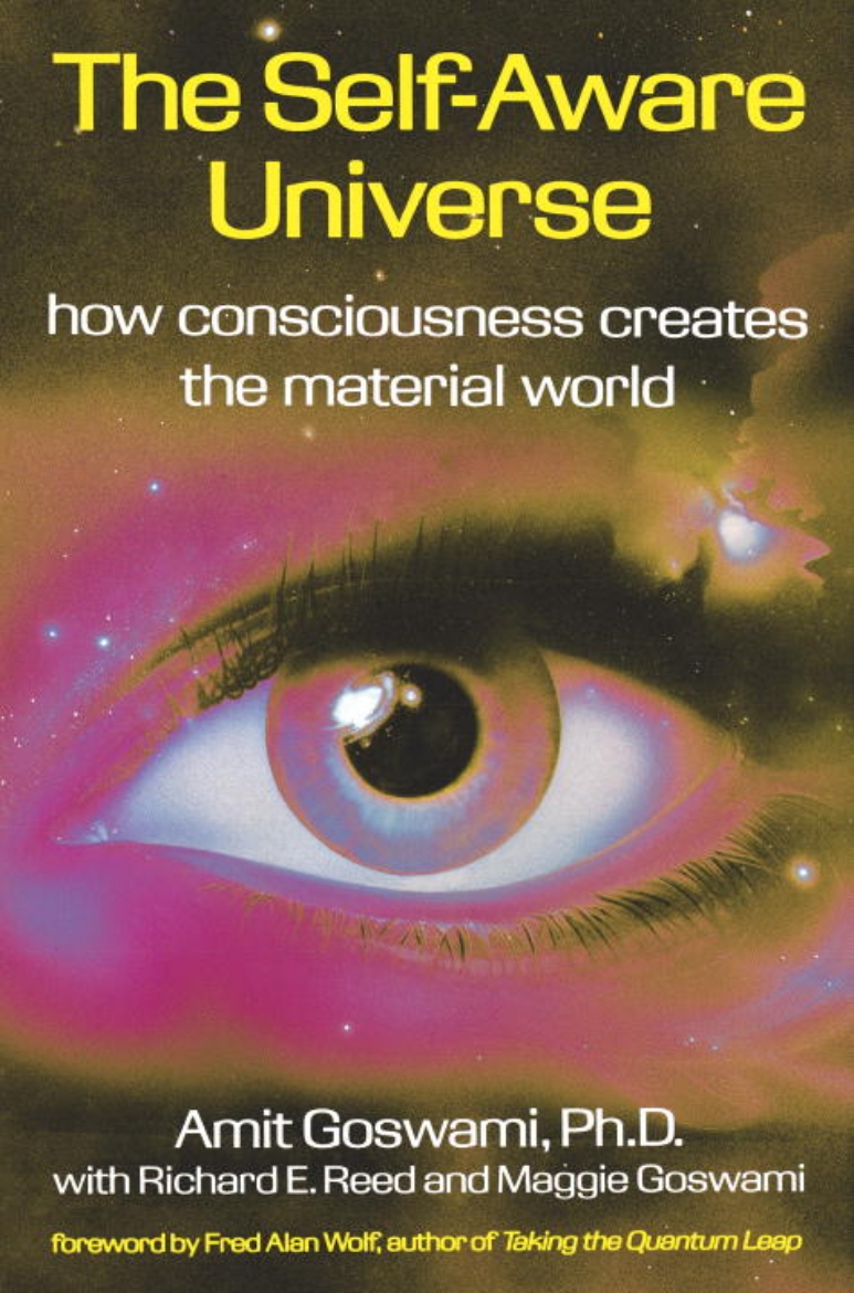 Picture of Self-aware universe - how consciousness creates the material universe