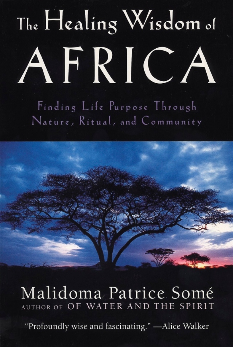 Picture of Healing Wisdom Of Africa: Finding Life Purpose Through Natur