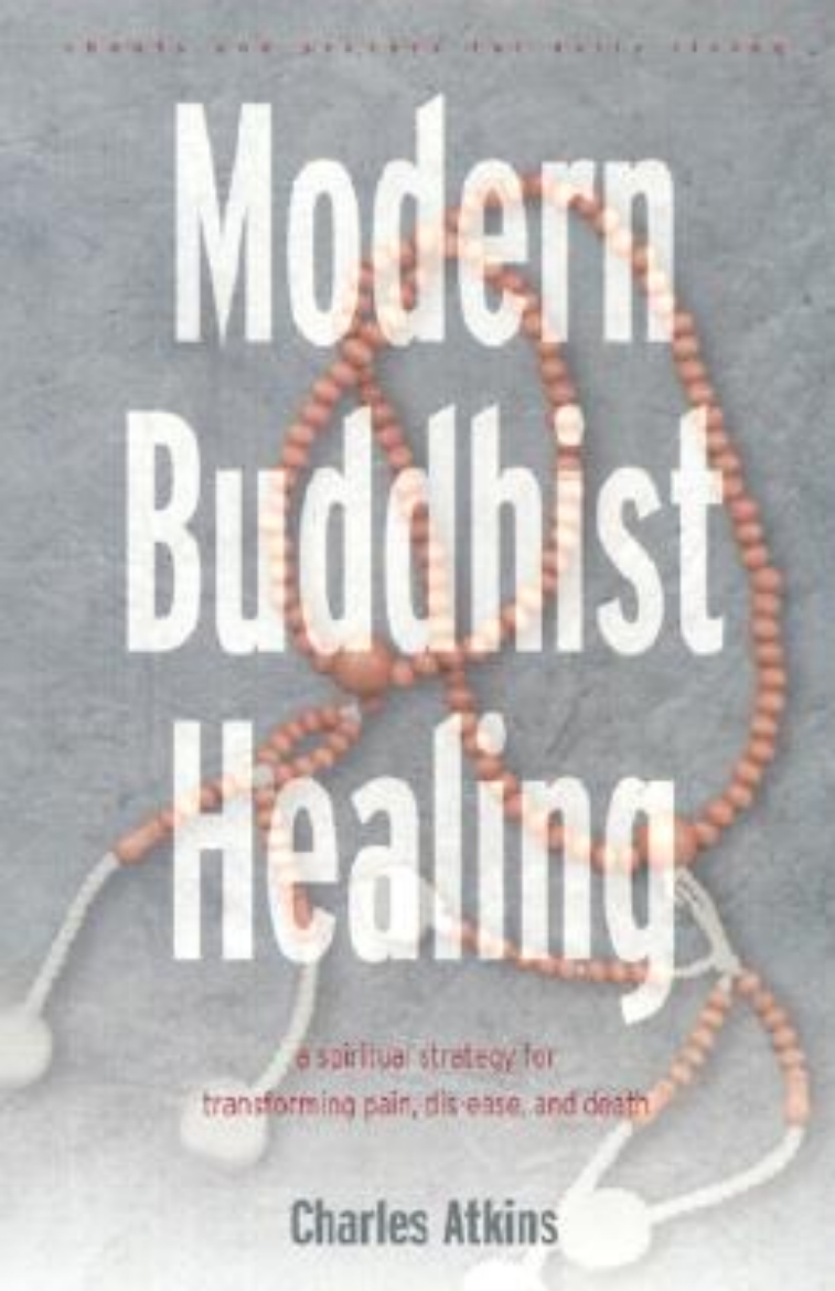 Picture of Modern Buddhist Healing: A Spiritual Strategy for Transforming Pain, Dis-Ease, and Death