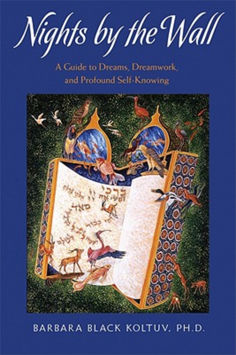 Picture of Nights by the Wall: A Guide to Dreams, Dreamwork, and Profound Self-Knowledge