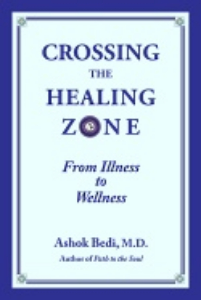 Picture of Crossing The Healing Zone : From Illness to Wellness